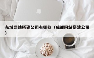 金湖东城网站搭建公司有哪些（成都网站搭建公司）